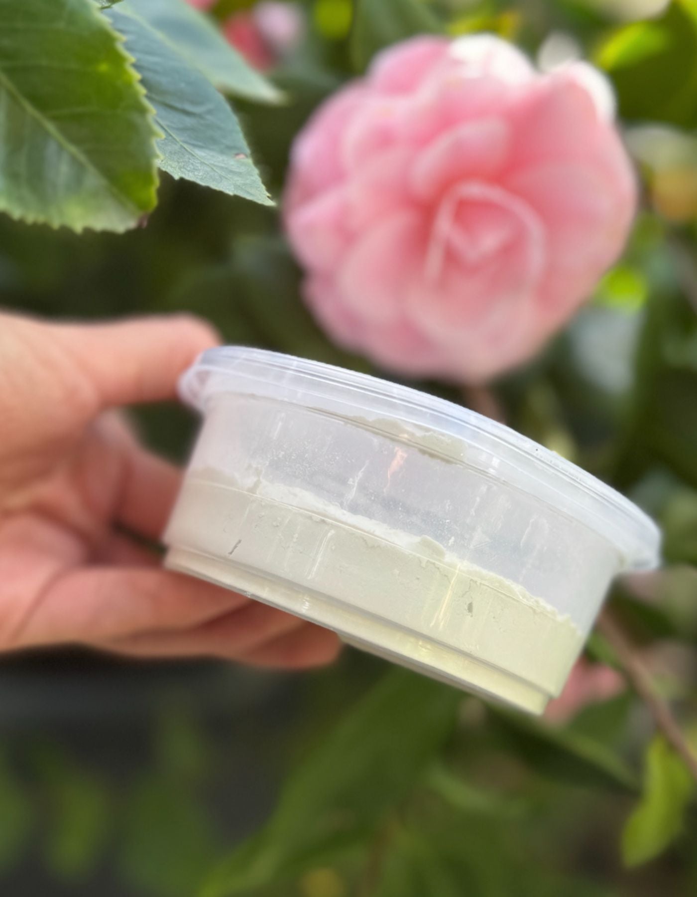 T8 הורמון השרשה - הורמוריל