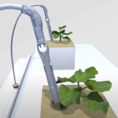 טפטפת עכביש/תמנון 4 פיצולים