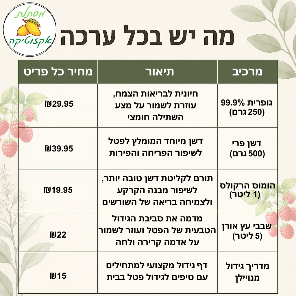 ערכה פרימיום לגידול פטל בבית (SOLO)