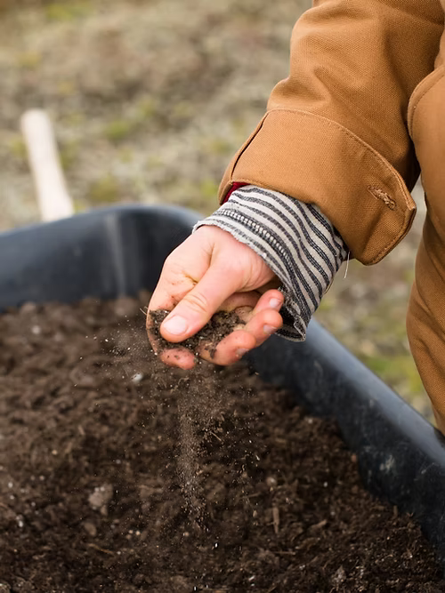 תערובת אדמה חומצית