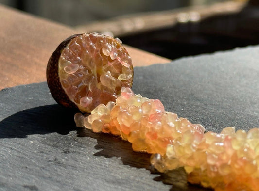 פינגר ליים חתוך עם פניני הדרים נשפכות החוצה