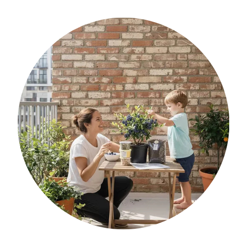 צמחים למרפסת