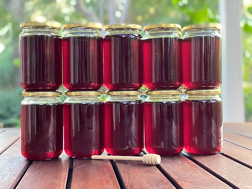 דבש דבורים טהור