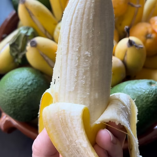 עץ בננה תפוח