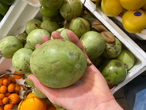 עץ תפוח כוכב (איסוף עצמי)