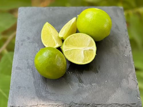 עץ ליים (מורכב)