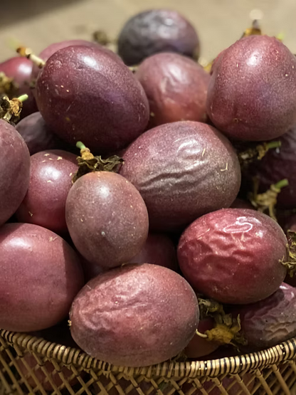 שיח פסיפלורה סגולה פאשן דרים