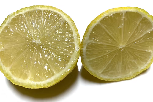 עץ לימון ללא גרעינים / לימון סידלס (מורכב)