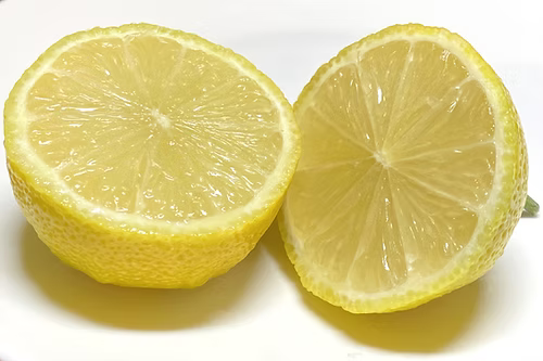 עץ לימון ללא גרעינים / לימון סידלס (מורכב)