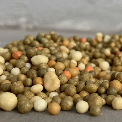 ערכה פרימיום לגידול אוכמניות בבית (DUO)