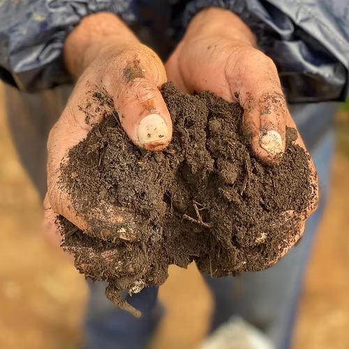 ביו קומפוסט אורגני - טוף מרום גולן