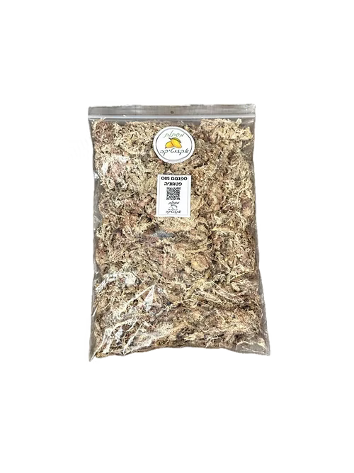 ספגנום מוס פטגוניה