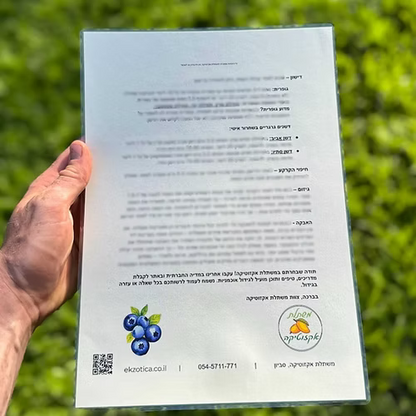 ערכה פרימיום לגידול אוכמניות בבית (SOLO)