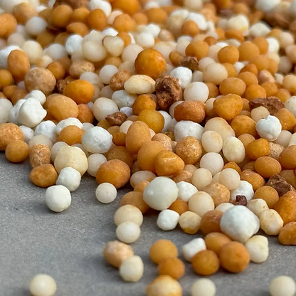 ערכה פרימיום לגידול אוכמניות בבית (TRIO)