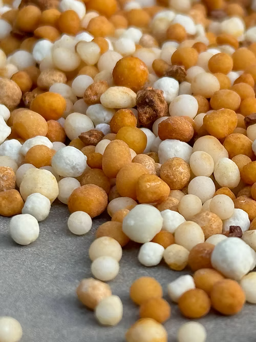 אקוגן פרי בשחרור איטי - דשן גרגרי לעצי פרי בשחרור איטי