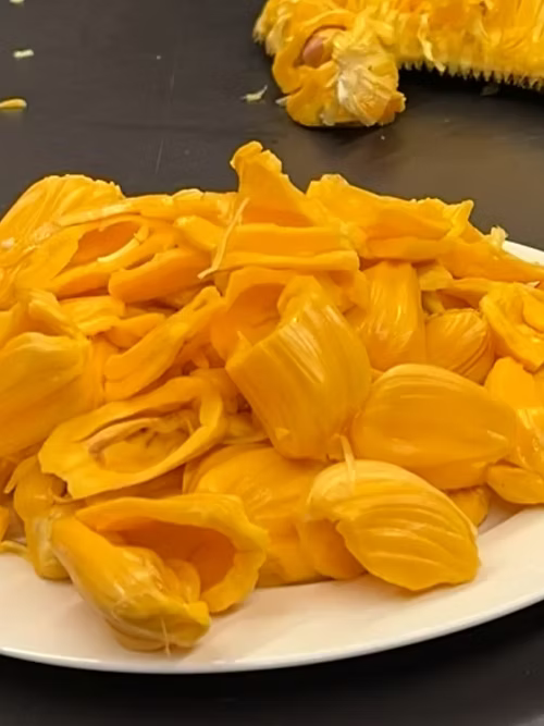 עץ ג'קפרוט גולדי קראנץ