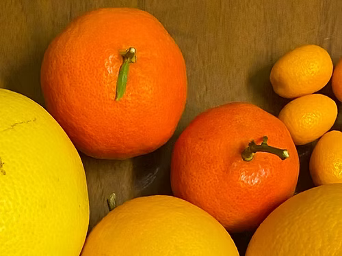 עץ קלמנטינה מיכל (מורכב)