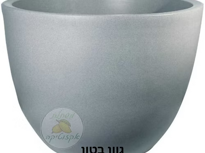 כד קערה דקורטיבי