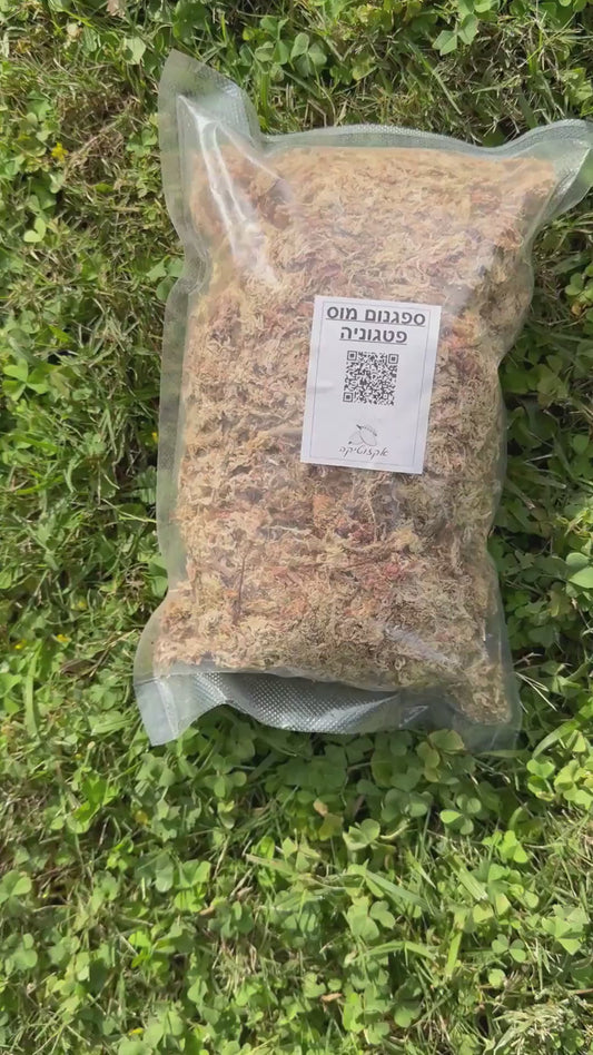 ספגנום מוס פטגוניה